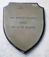 6994th SR NCO of the quarter - cleaned