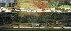 A22-1 ARTIFACTS DISPLAY CASE