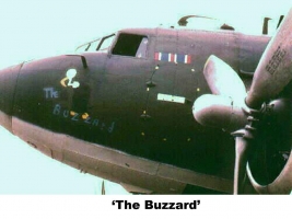 The Buzzard