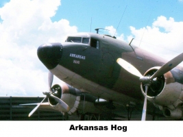 arkansas hog - PL-766